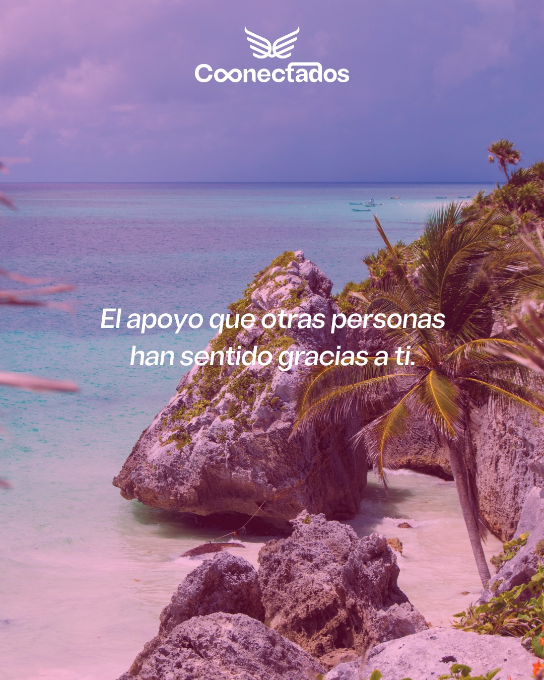 Servicio Conectados Spa 1