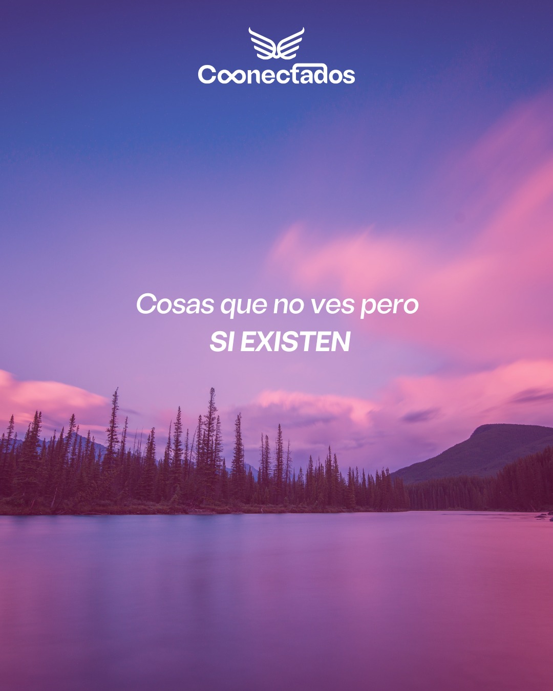 Servicio Conectados Spa 3